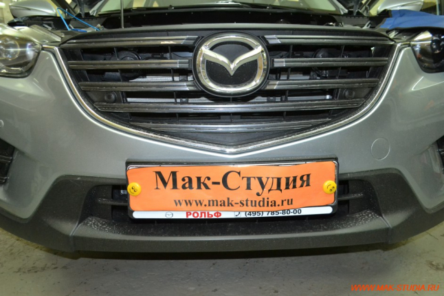 защита радиатора однозначно необходима